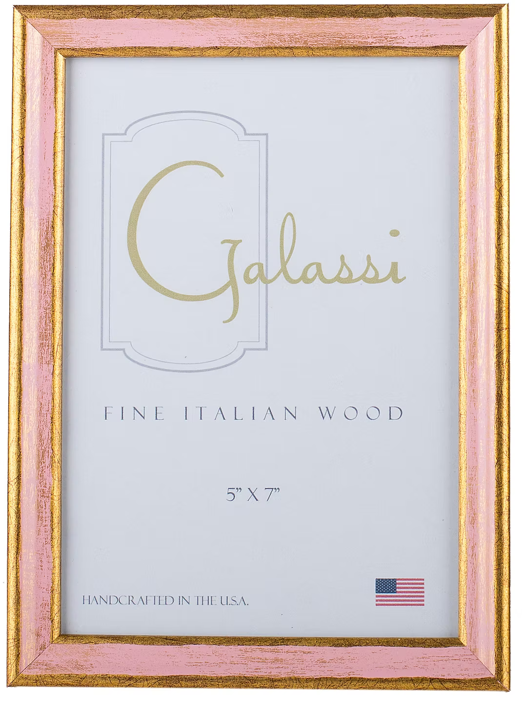 Gold with Color Florentine Frame