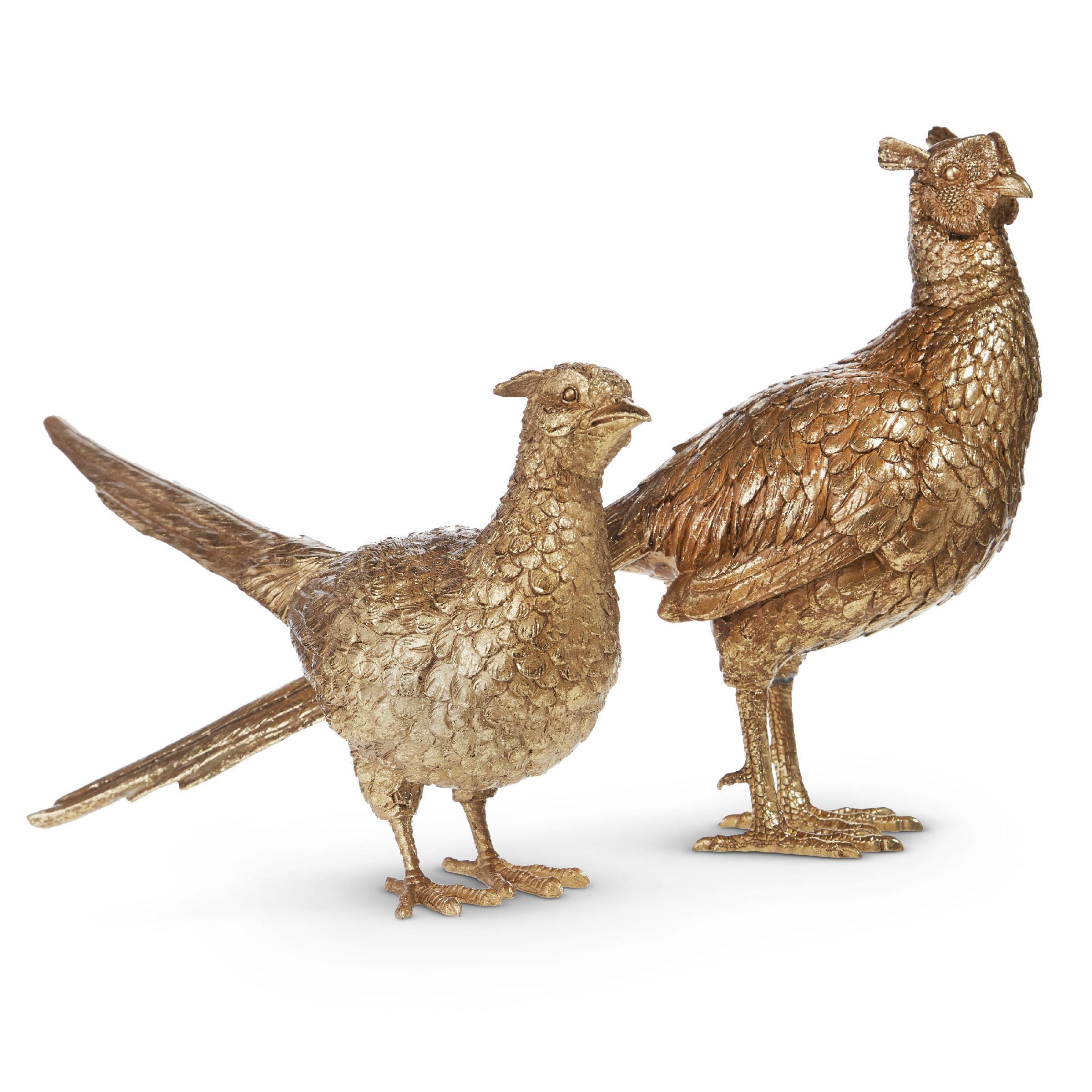 Gold Pheasant | Set of 2