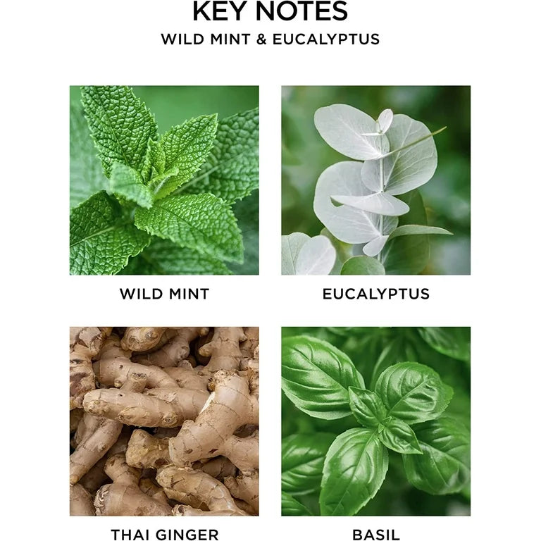 Wild Mint & Eucalyptus Reed Liquid Diffuser Refill