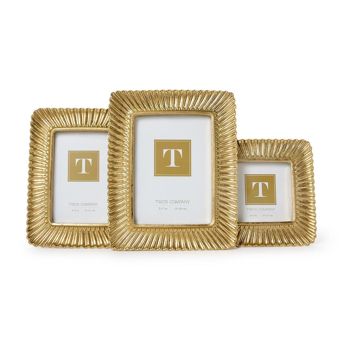 Sculpted Scalloped Plume Gold Photo Frame