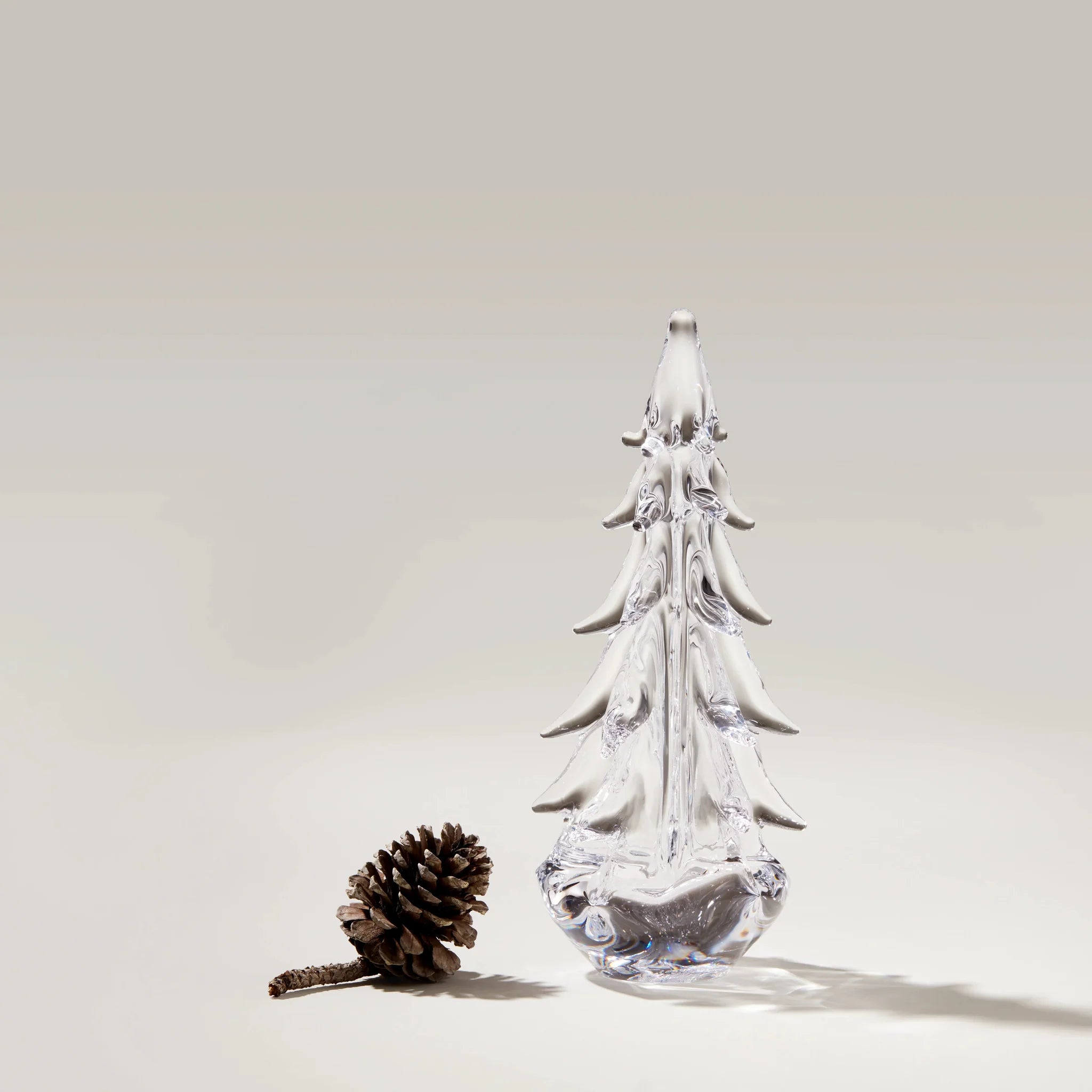 Five Sided Evergreen