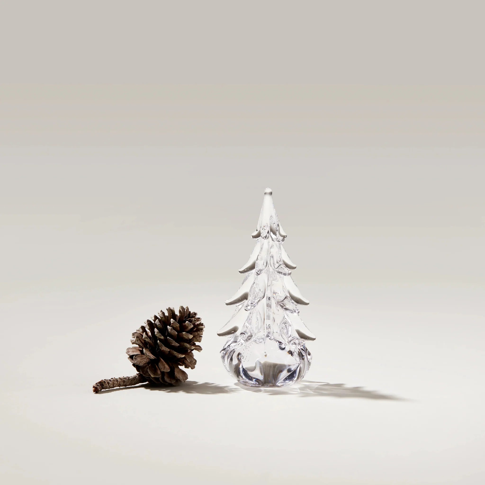 Five Sided Evergreen
