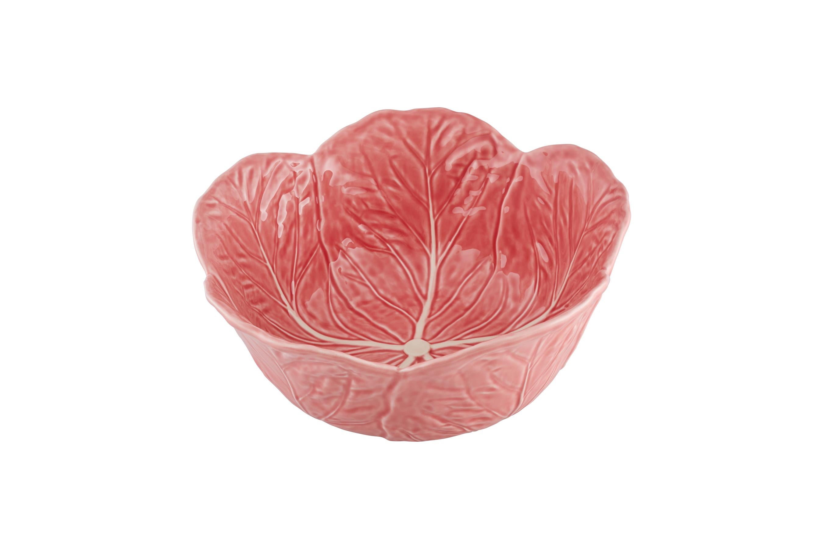 Pink Cabbage Salad Bowl