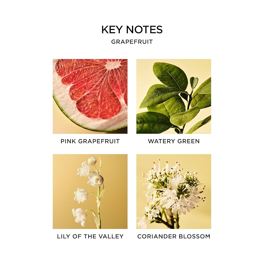 Grapefruit Reed Diffuser