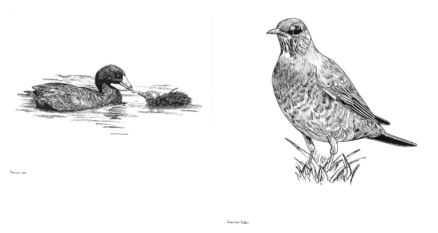 Slow Birding