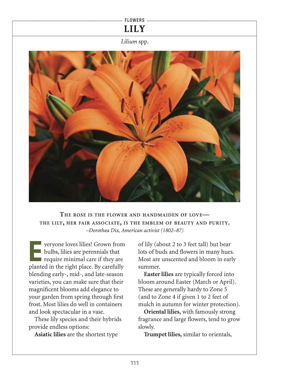 Old Farmer's Almanac Flower Gardener's Handbook