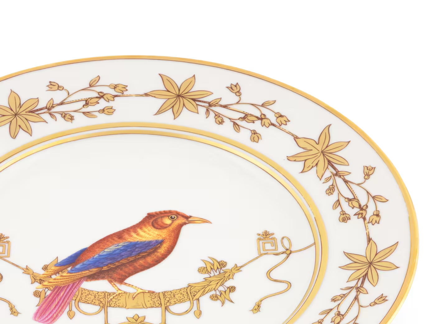 Volière Tangara Du Canada Bread & Butter