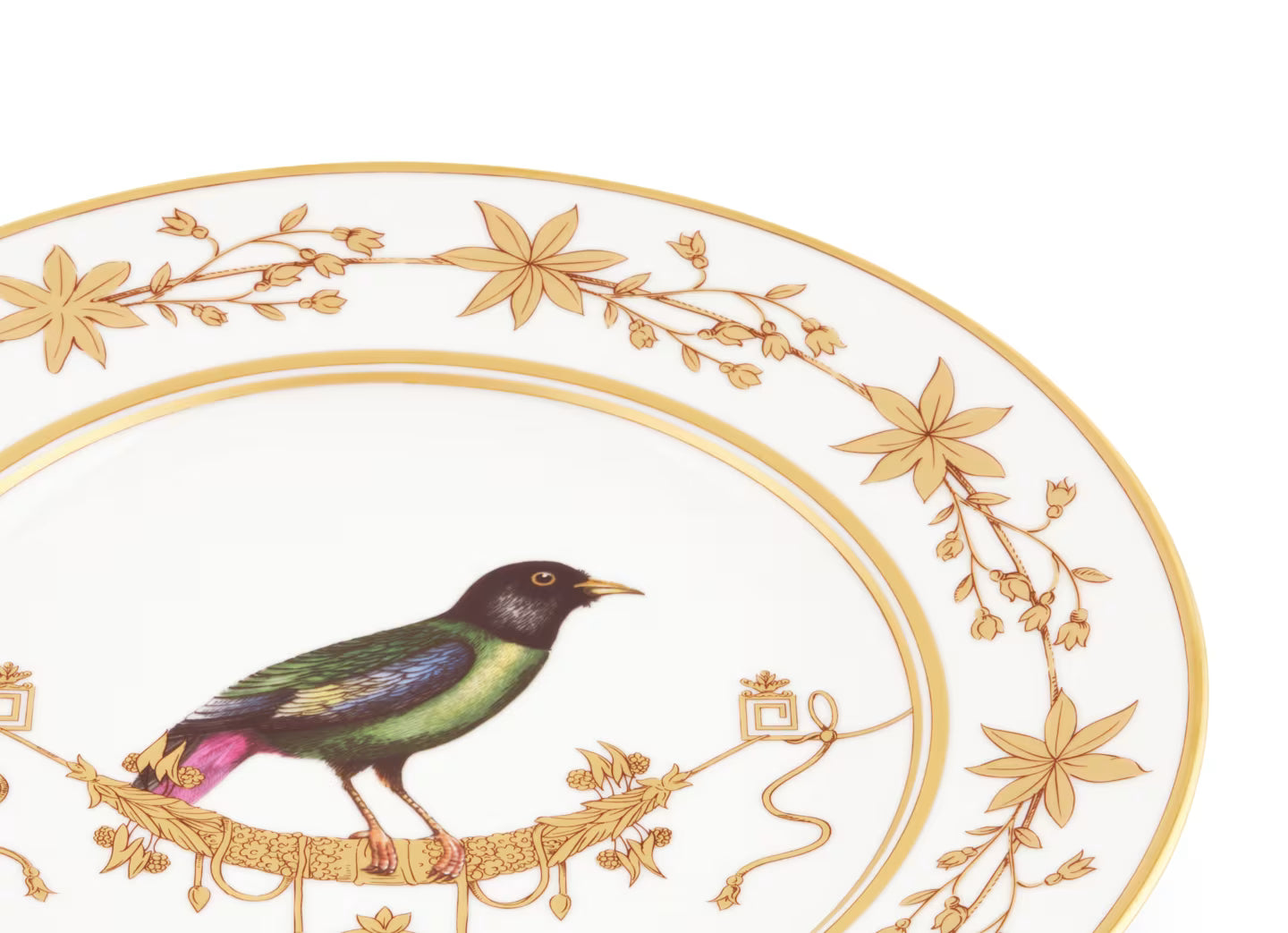 Volière La Bre'Ve Dinner Plate