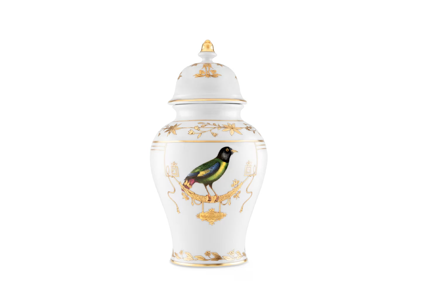 Volière Geai - La Brève Potiche Vase With Cover