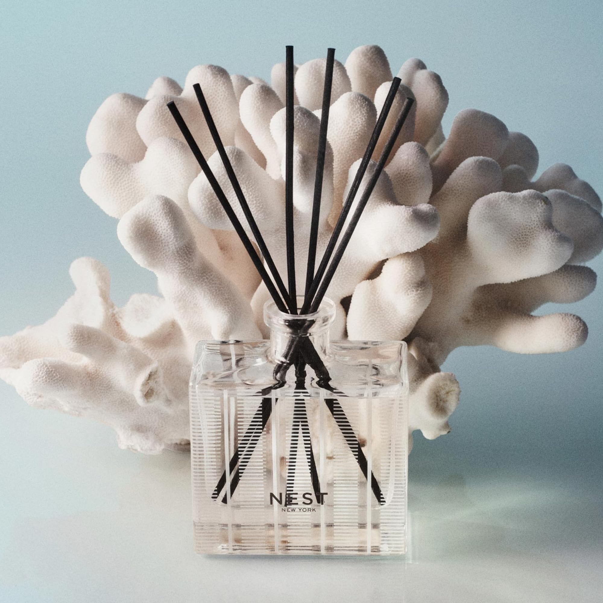 Ocean Mist & Sea Salt Reed Diffuser