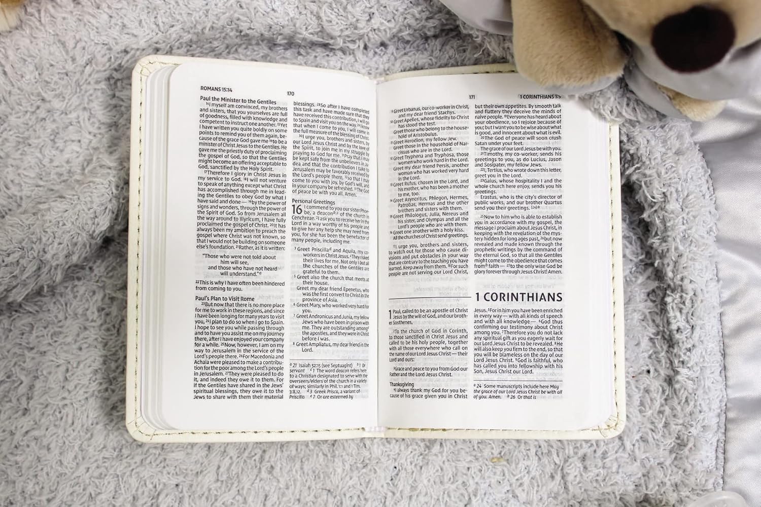 NIV Tiny Testament Bible