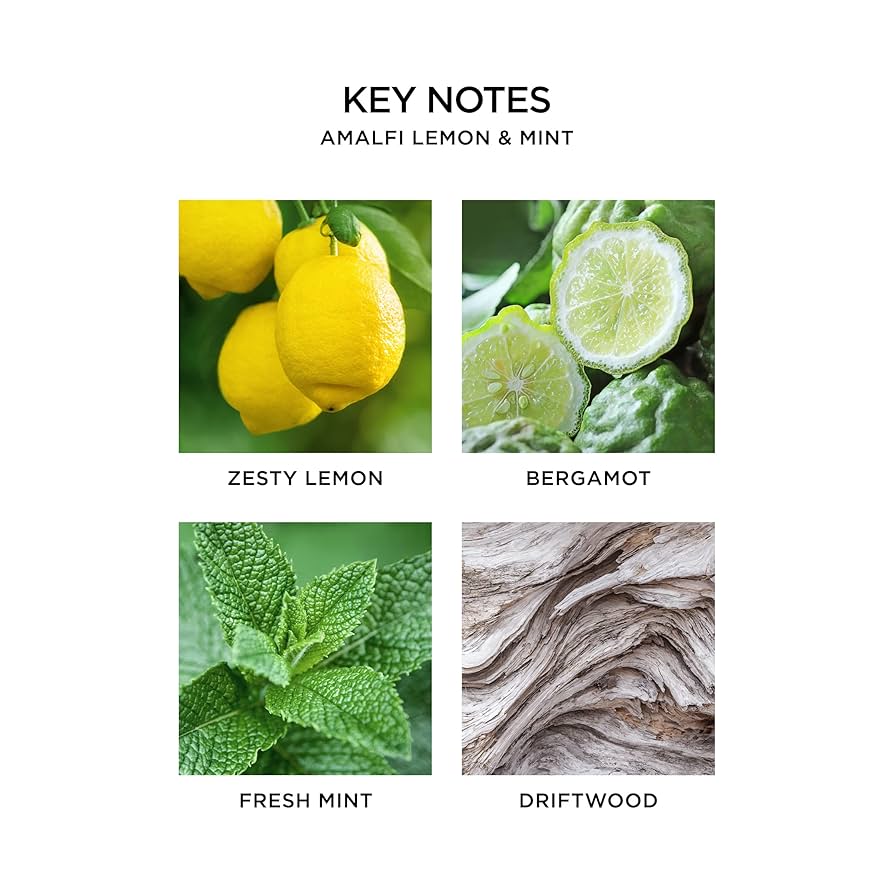 Amalfi Lemon & Mint Pura Refill Pods