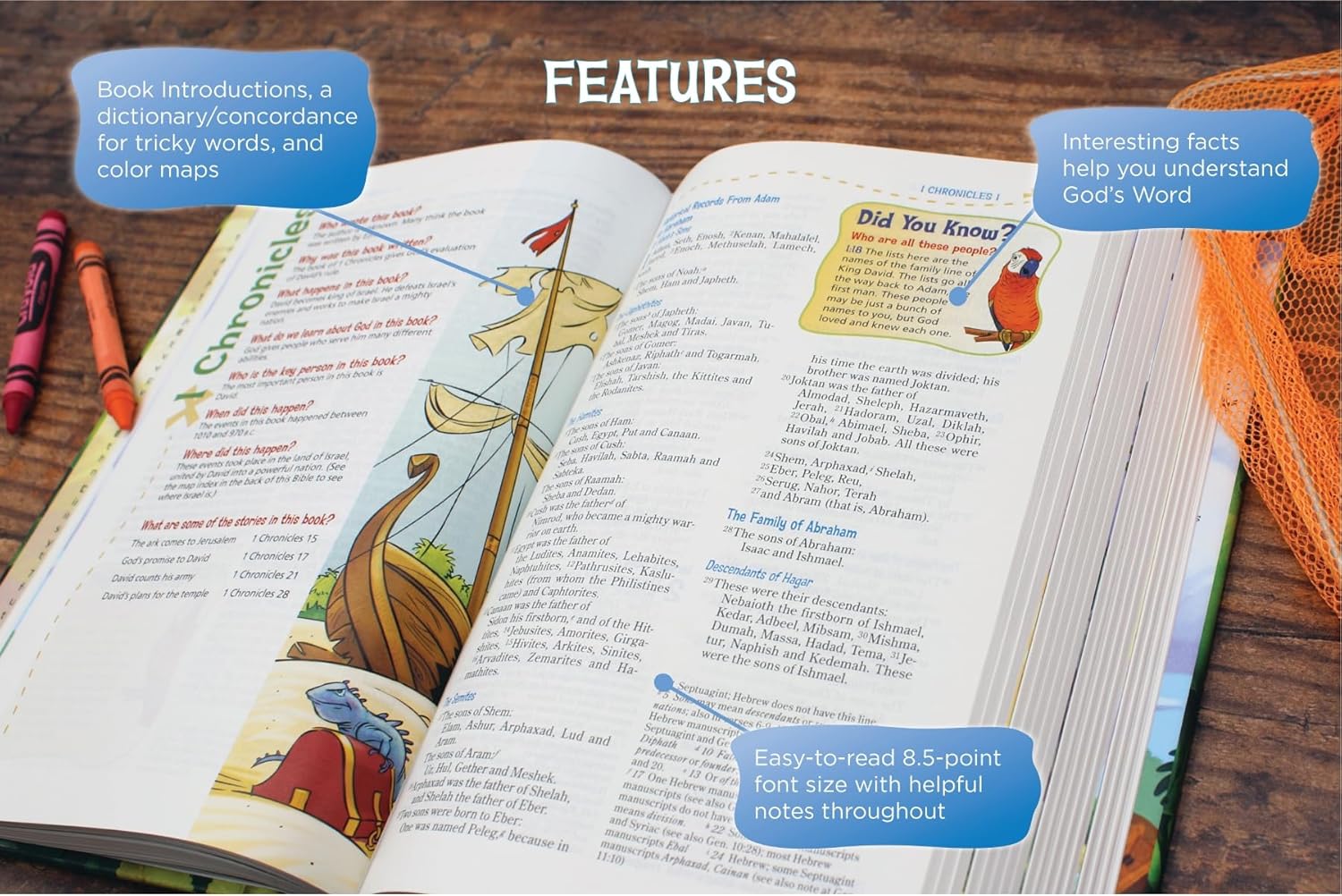 NIV, Adventure Bible, Leathersoft, Full Color