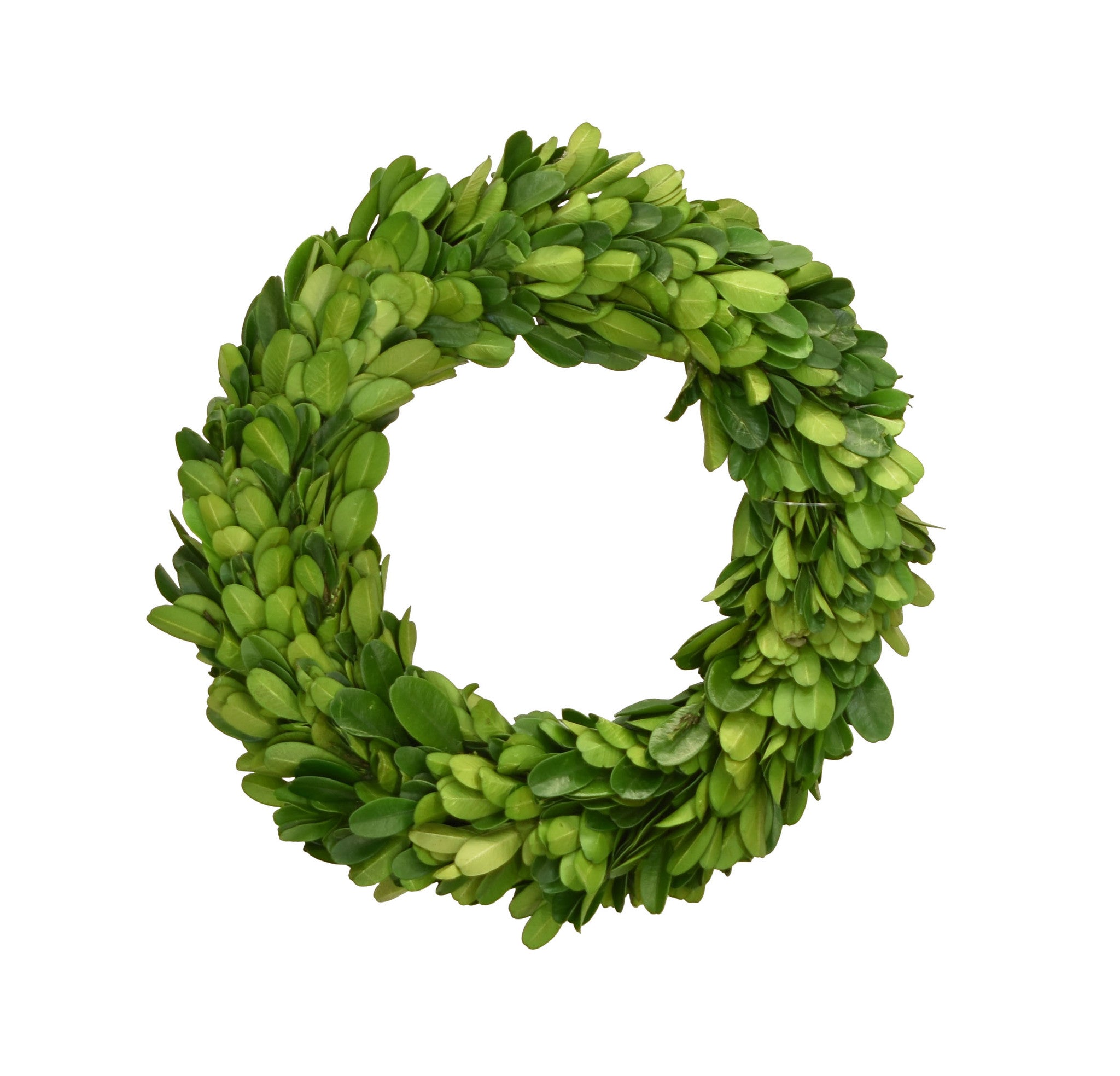 Preserved Boxwood Candle Ring/Wreath