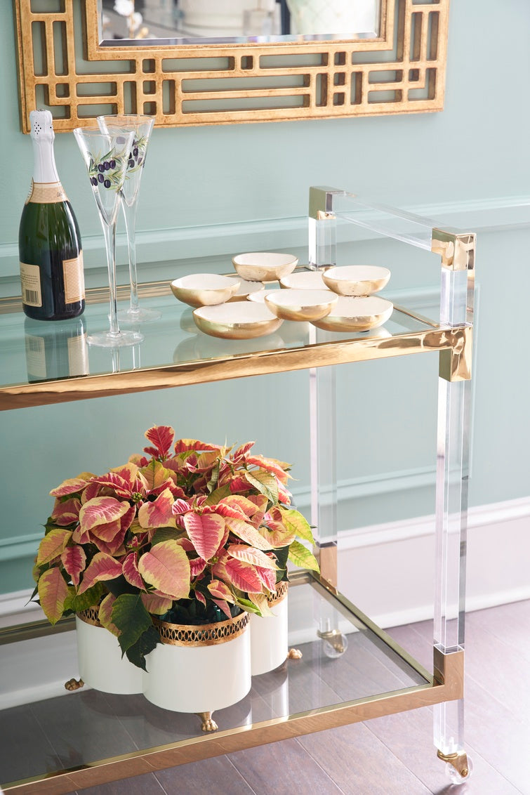 Acrylic Bar Cart - Brass