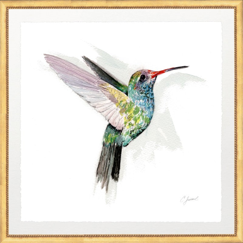 CL-Hummingbird 1