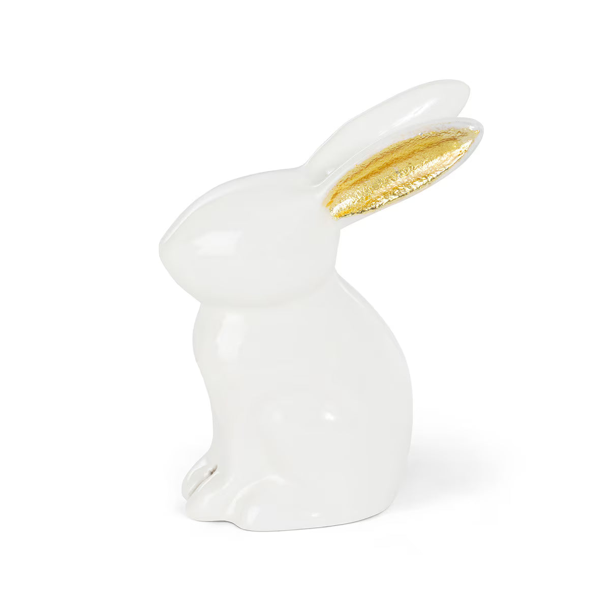 Golden Eared Hare
