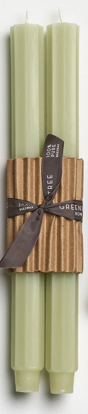 12" Fluted Church Taper Candles - Celadon