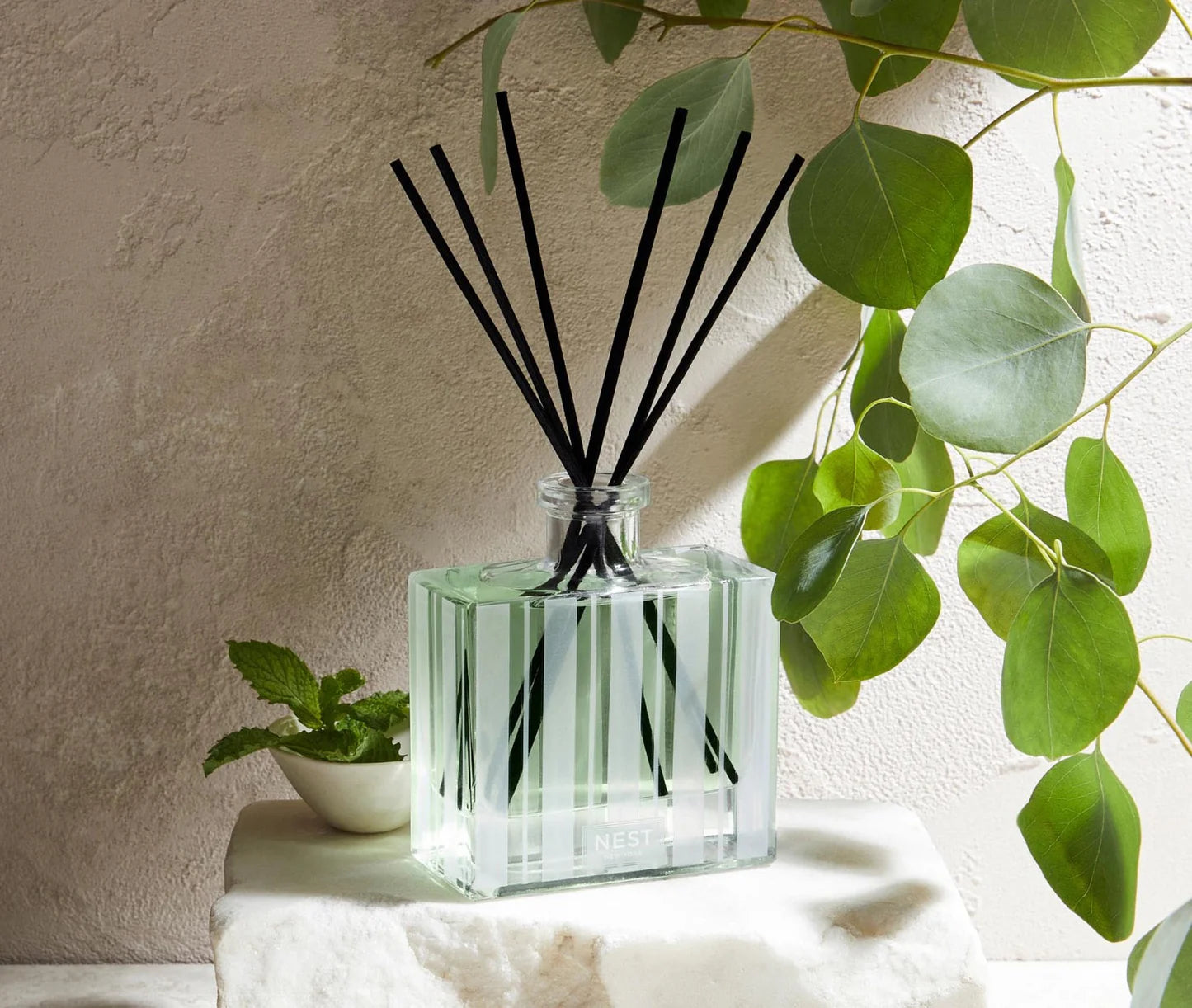 Wild Mint and Eucalyptus Reed Diffuser