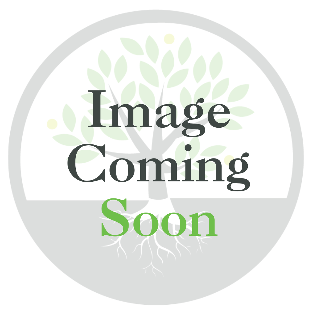 36" Woven Grass Leaf Stem, Leaf 4.7"