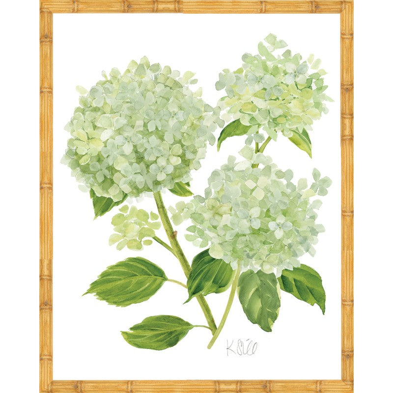 KS-Hydrangea Bloom 11