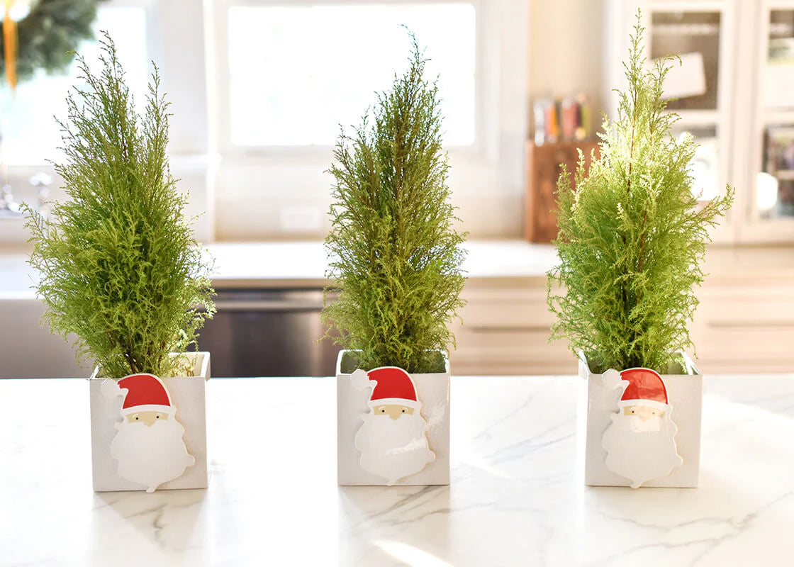 Fair Skin Ho Ho Santa Mini Attachment