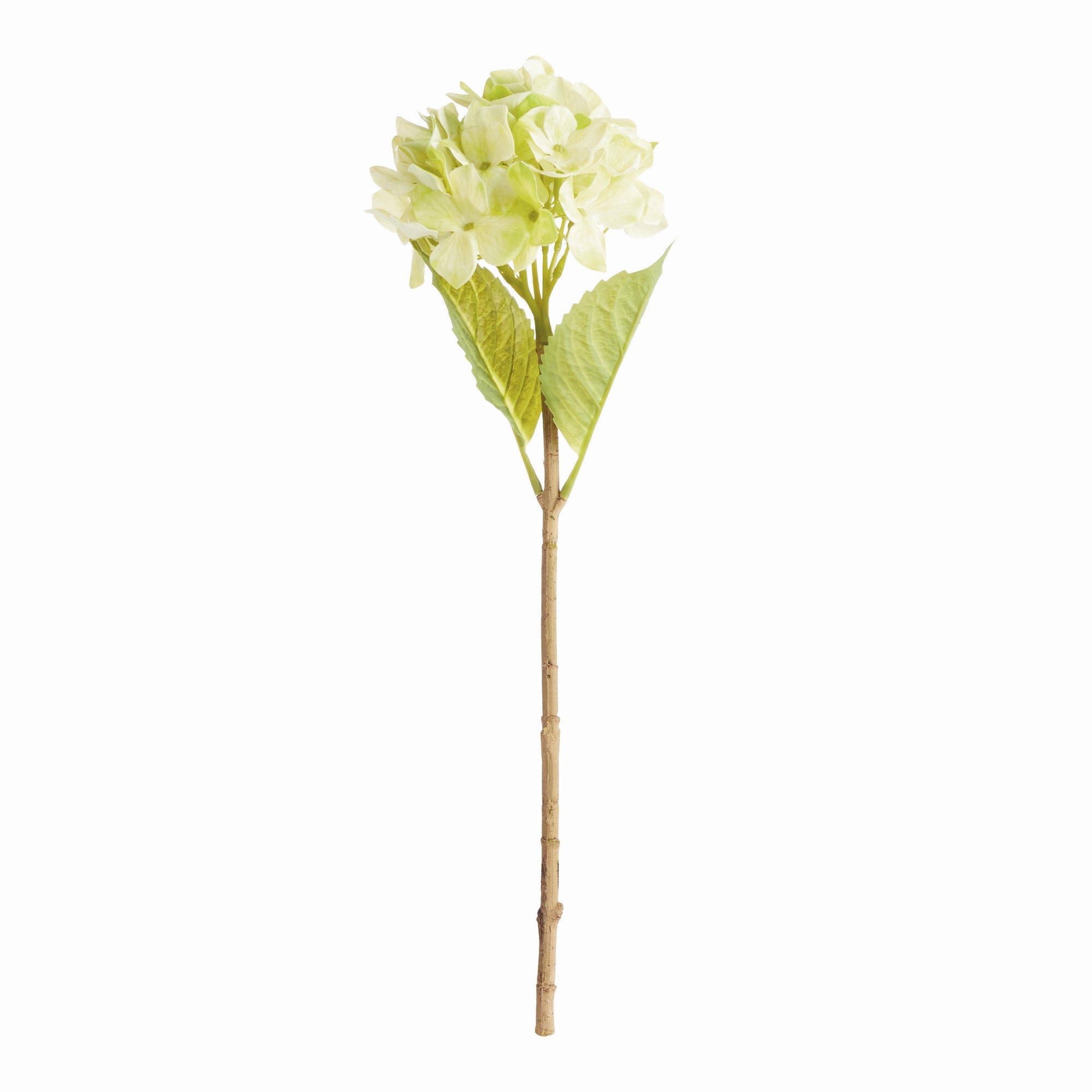 Hydrangea Stems 18"