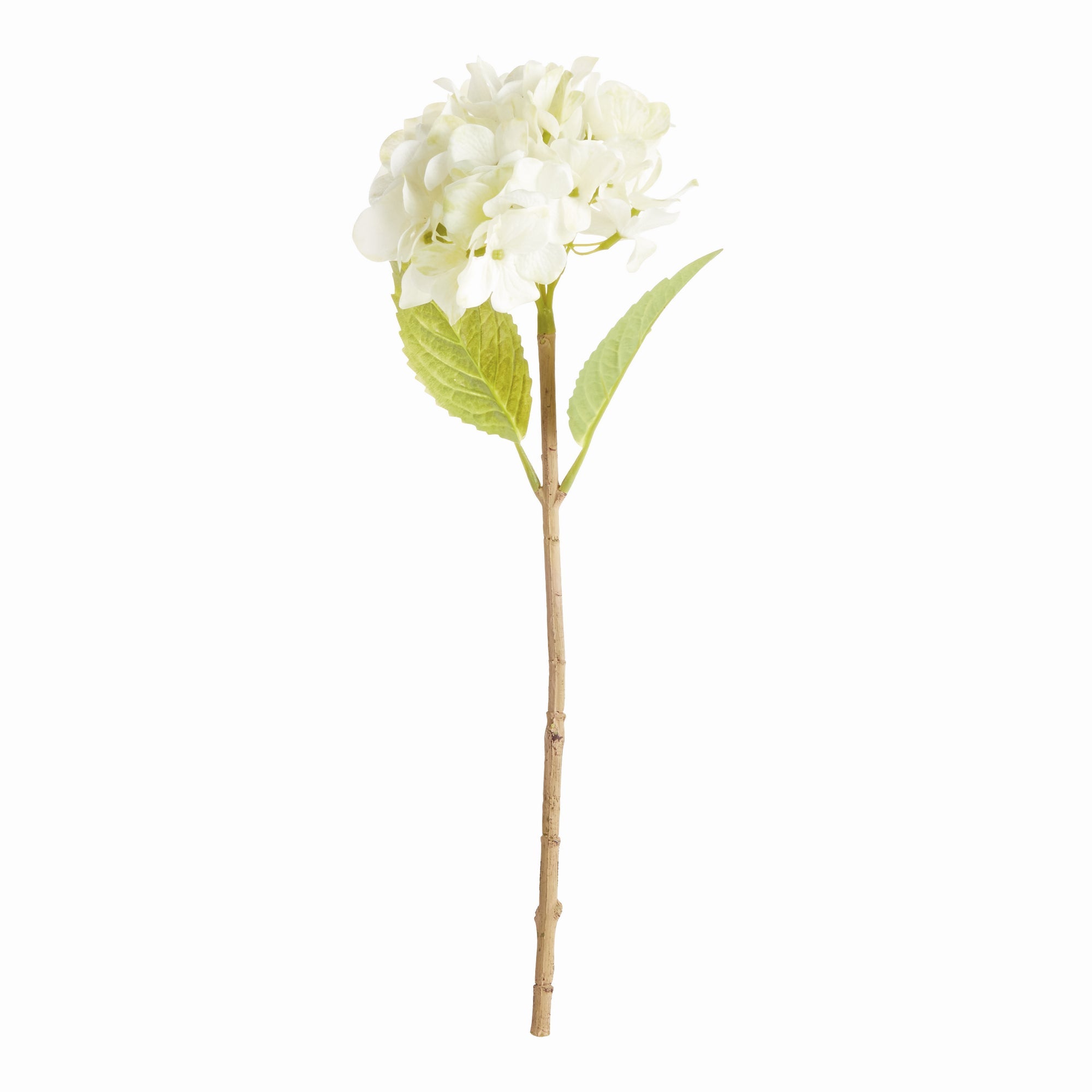 Hydrangea Stems 18"