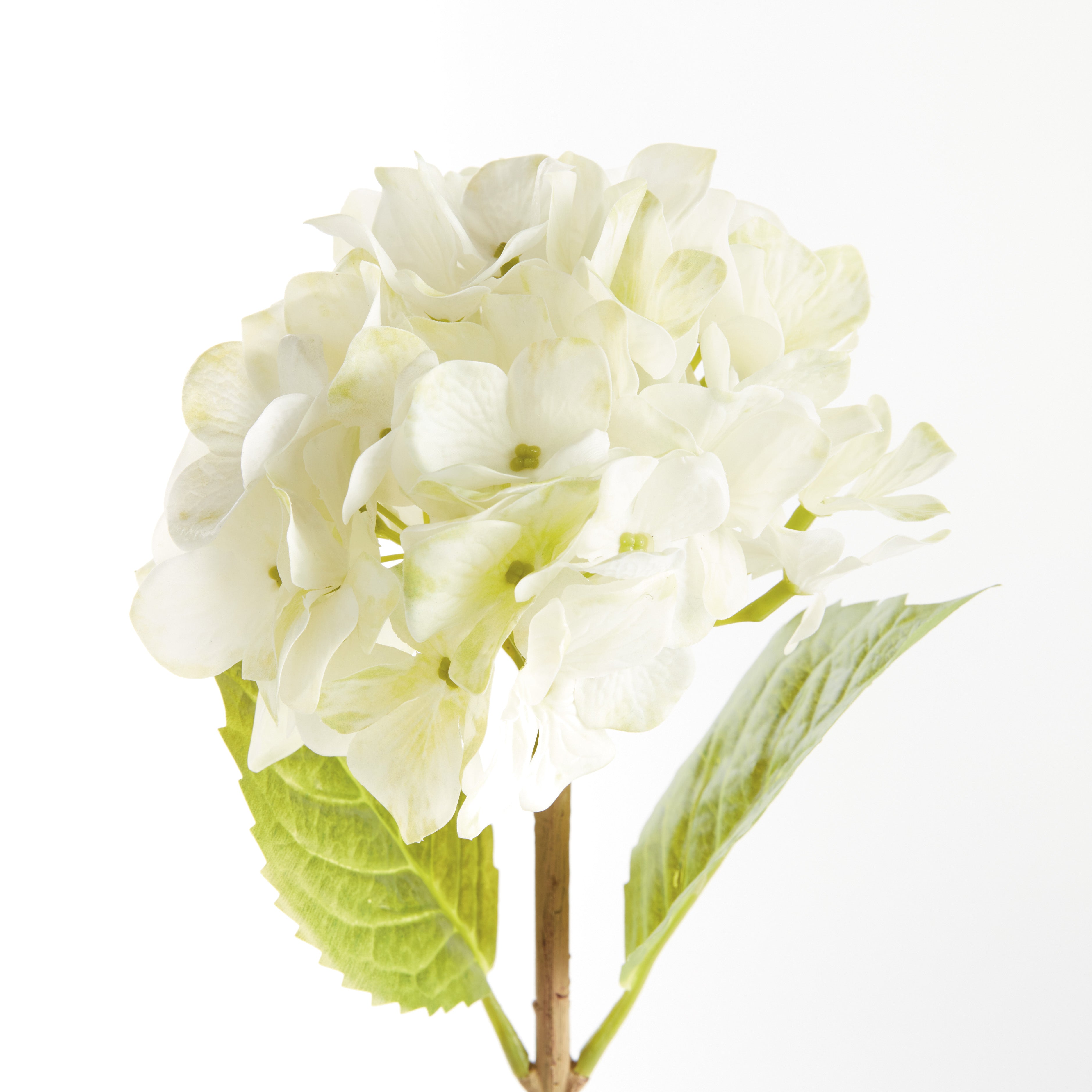 Hydrangea Stems 18"