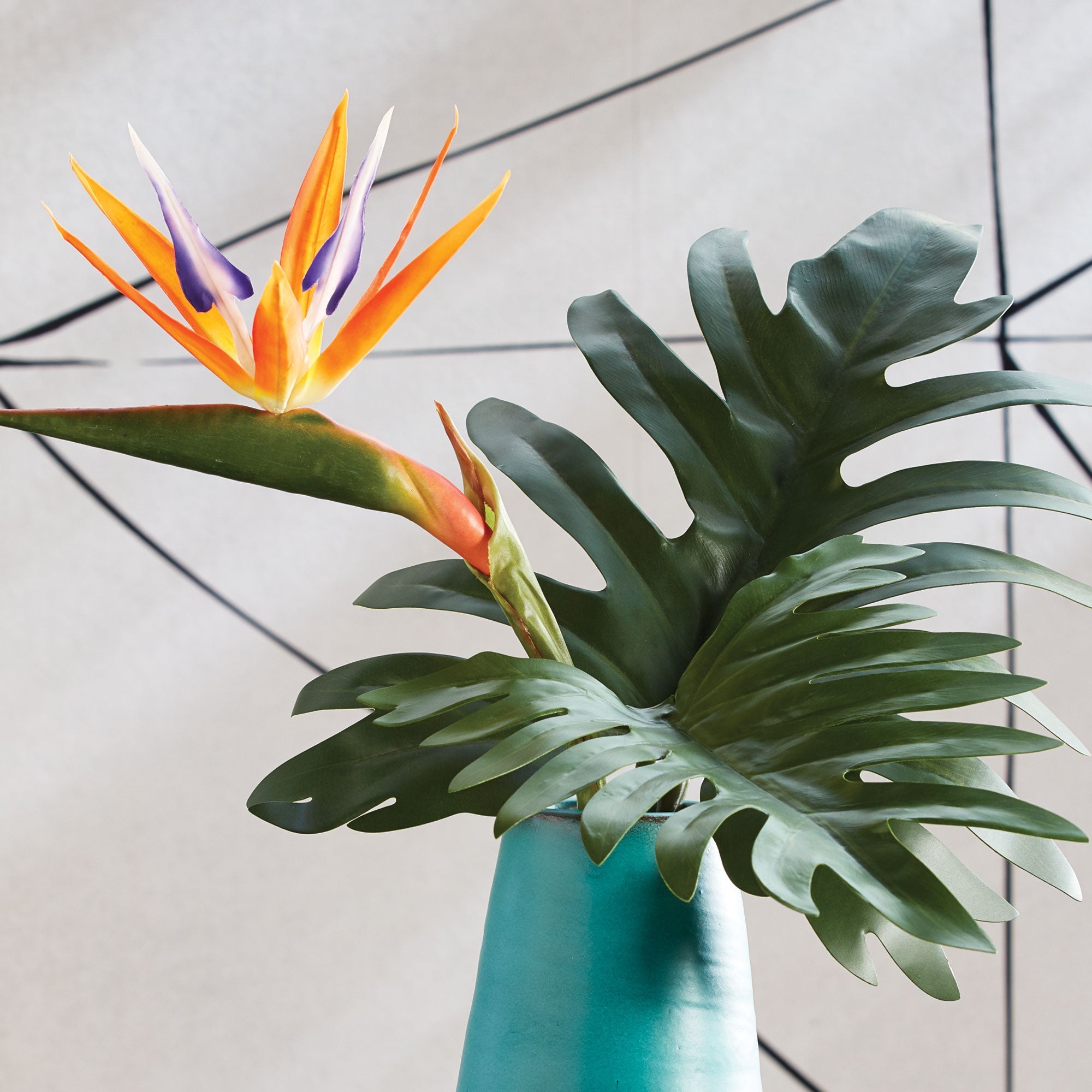 Split Leaf Selloum Stems, Bundle of 2