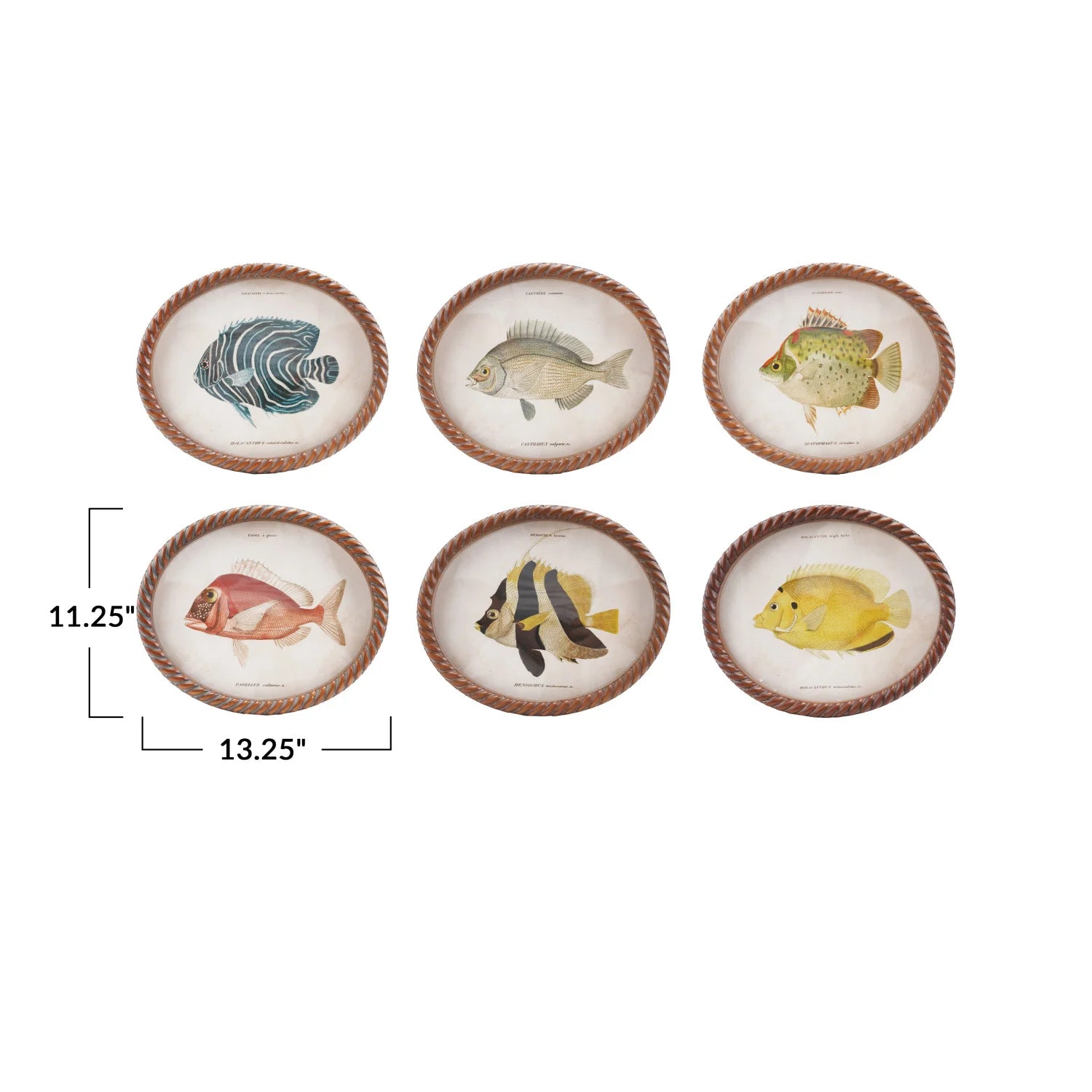 Set of six decorative plates with fish illustrations on a white background