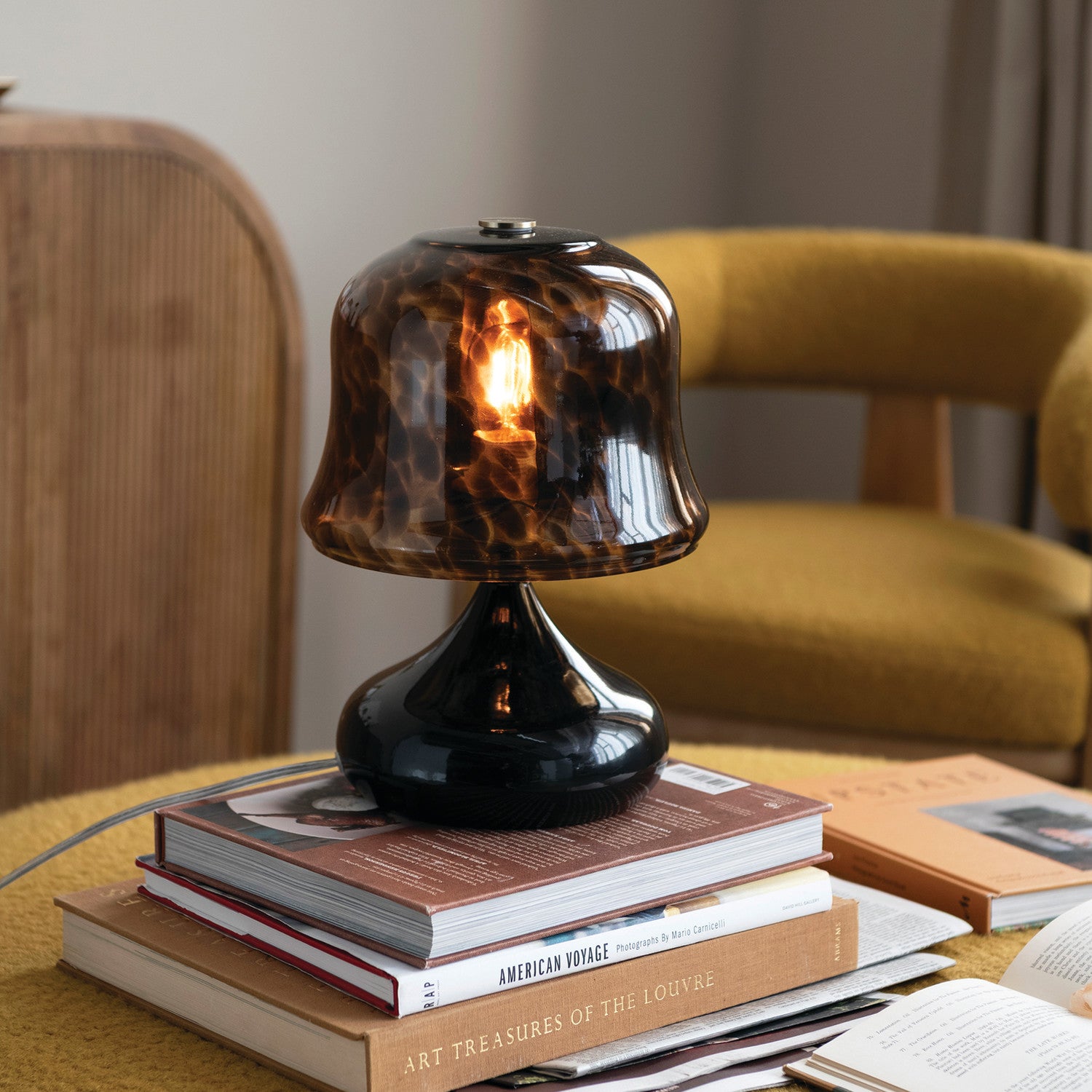 Tortoiseshell lamp on a stack of books with a blurred chair in the background