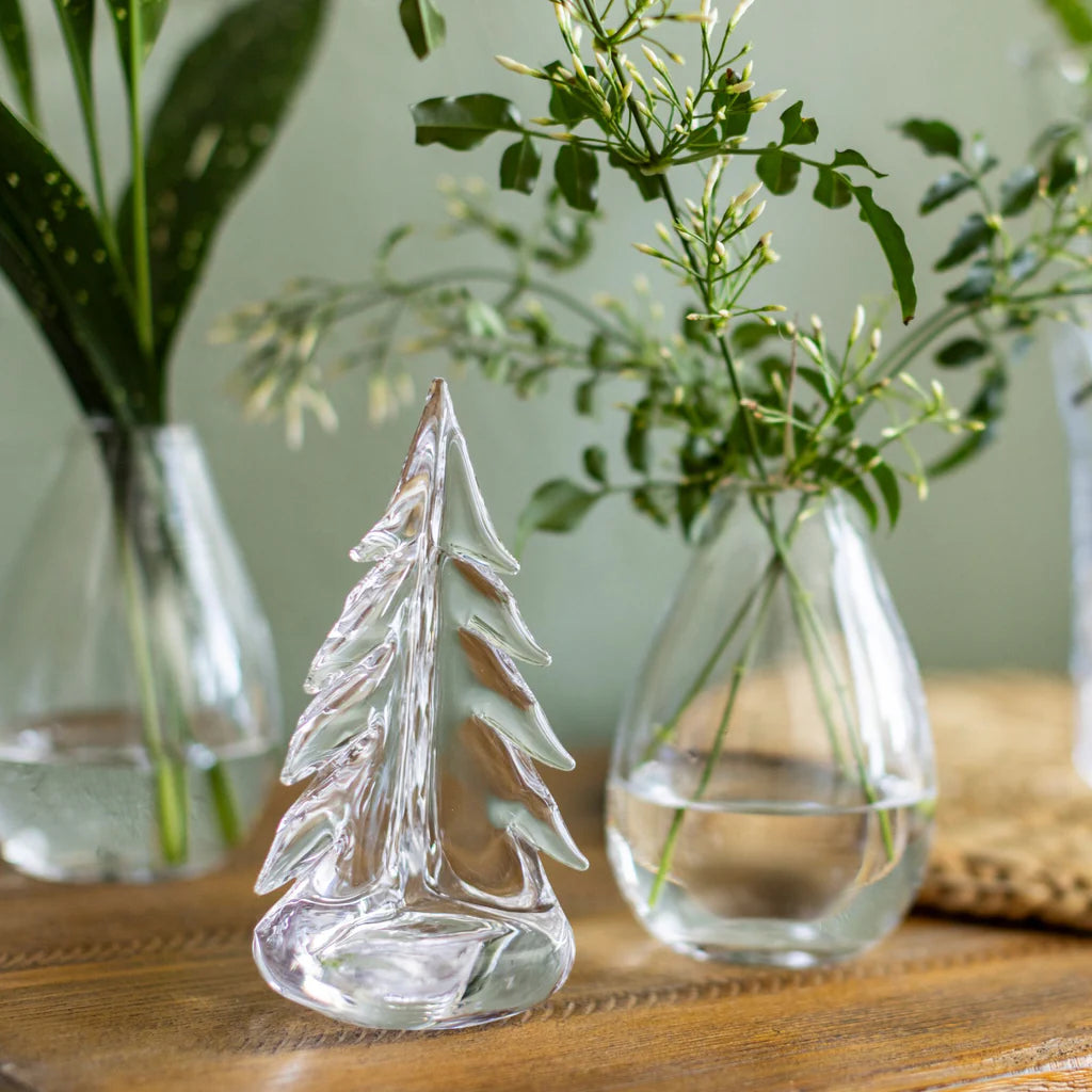 Vermont Evergreen - 6 Inch