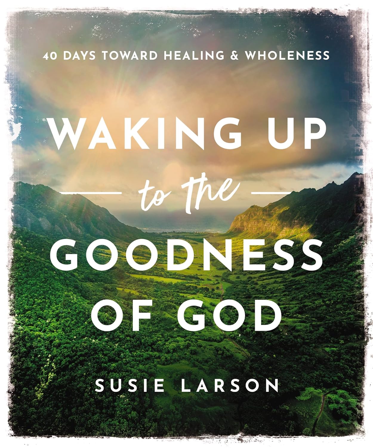 Book cover of 'Waking Up to the Goodness of God' by Susie Larson with a mountain landscape.