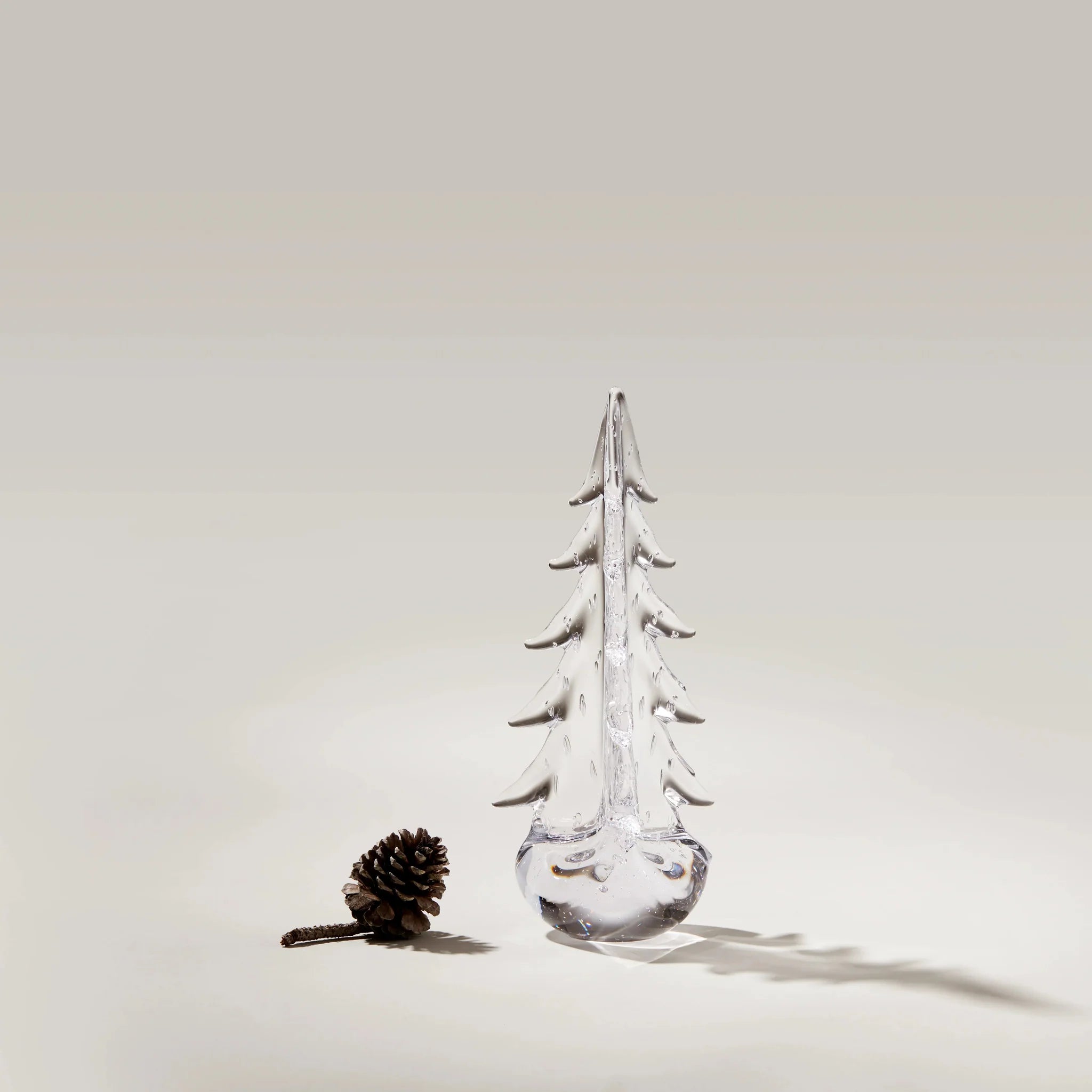 Bubble Evergreen