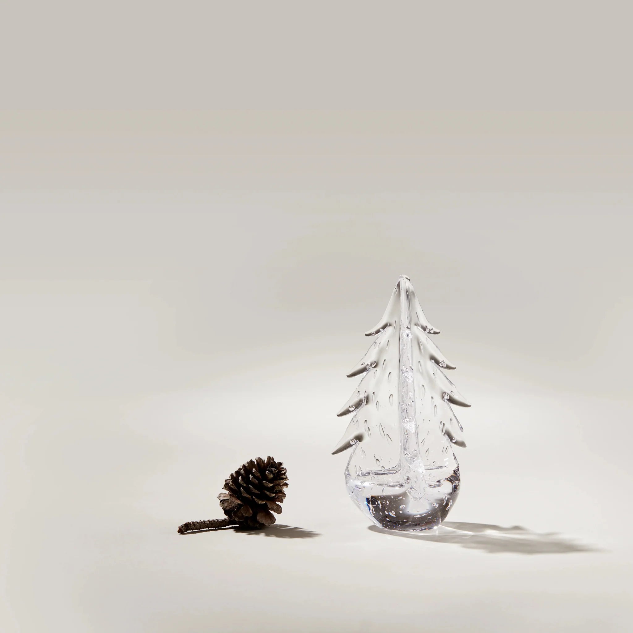 Bubble Evergreen