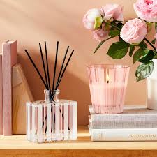 Himalayan Salt & Rosewater Reed Diffuser