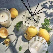 Amalfi Lemon & Mint Reed Diffuser