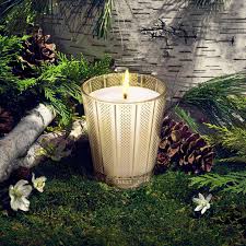 Birchwood Pine Classic Candle