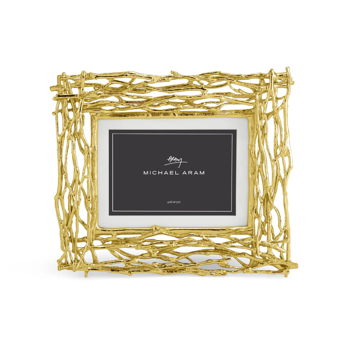 Gold Twig Frame