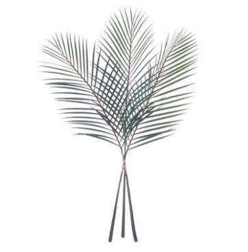 Palm Leaf Bundle Green 40"