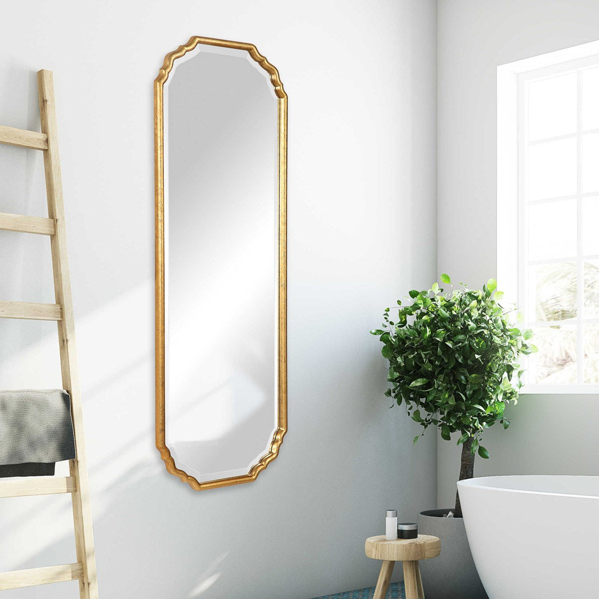 Elegant Full Length Mirror