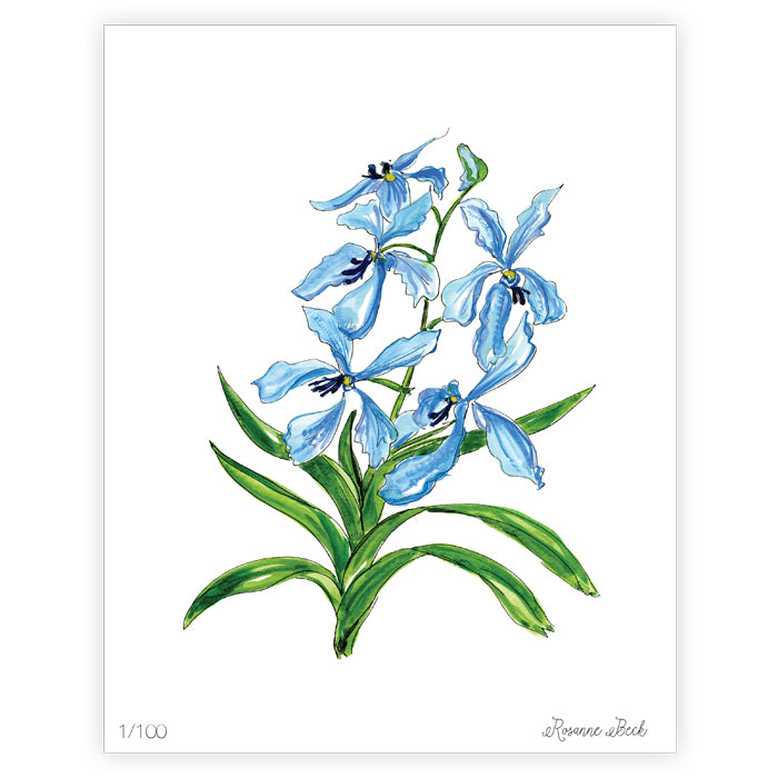Blue Orchid Botanicals Watercolor Art Print