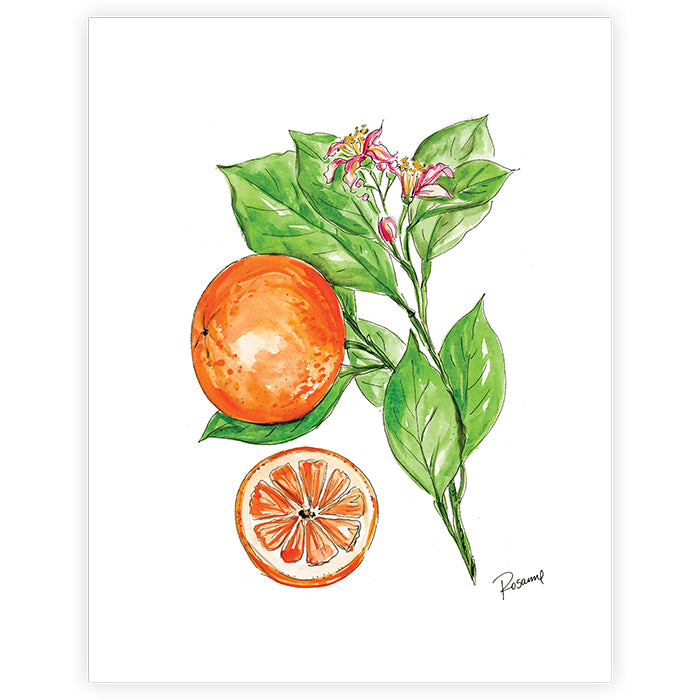 Handpainted Oranges On Branch Art Print