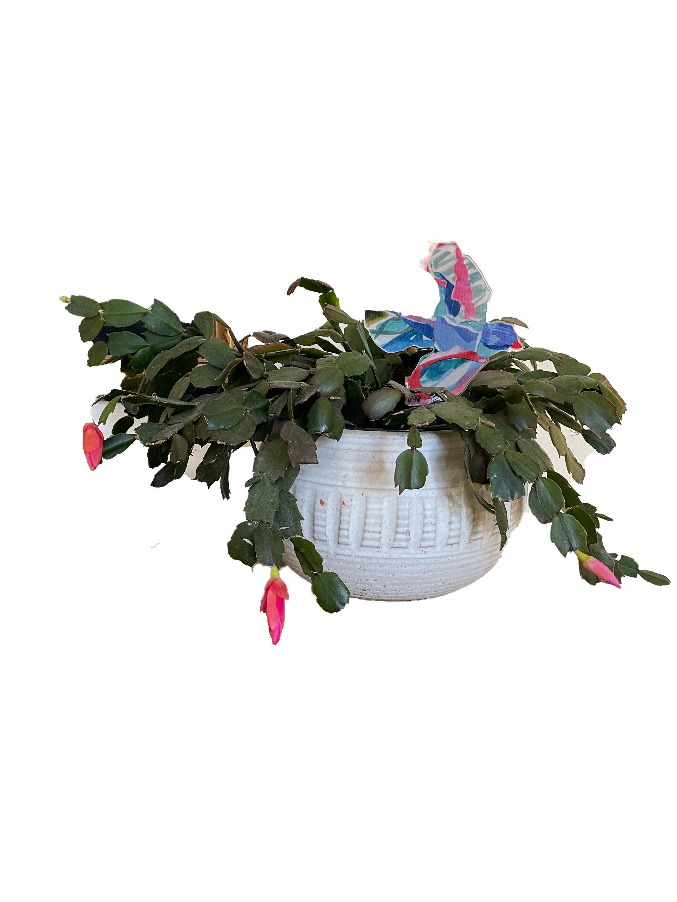 Blue Bird Plant Stick