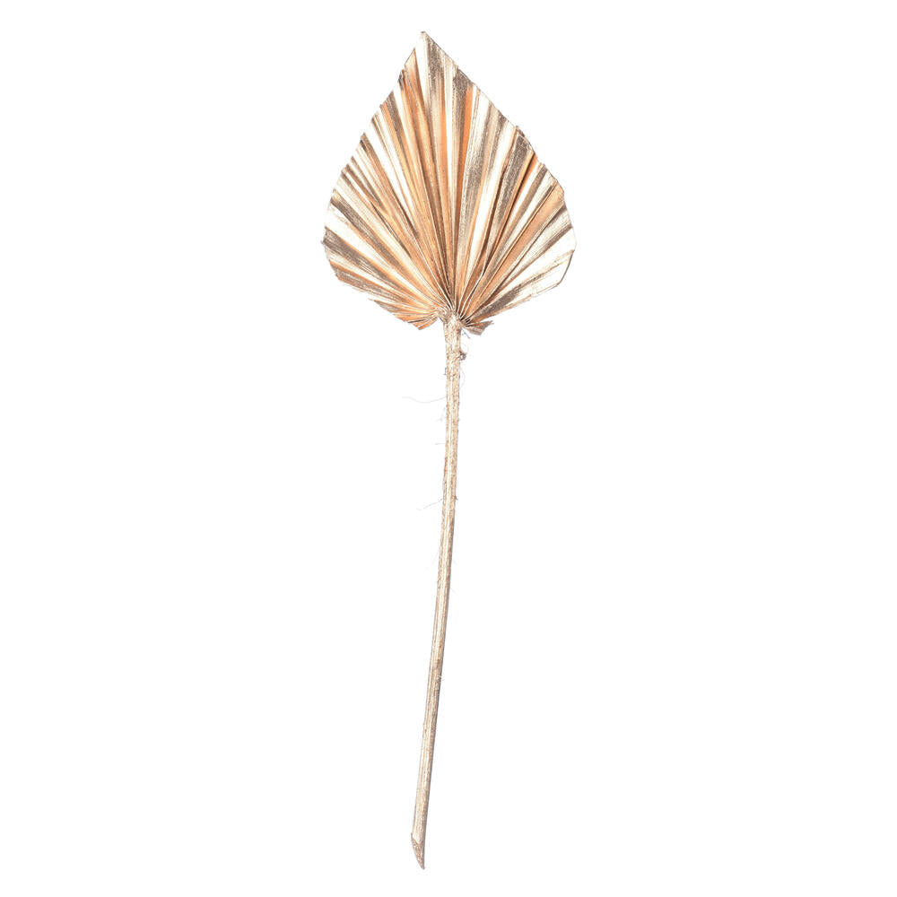 Vickerman Natural Botanicals 15.75 - 19.5" Metallic Gold Dried Palm Spear