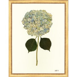 SW Hydrangea 5 14x18