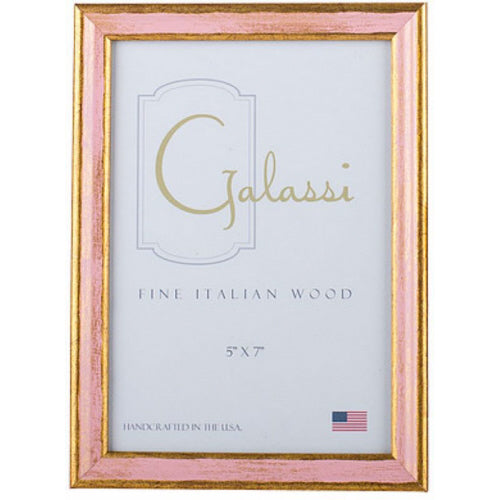 4X6 Traditional Pink/Gold Florentine Frame
