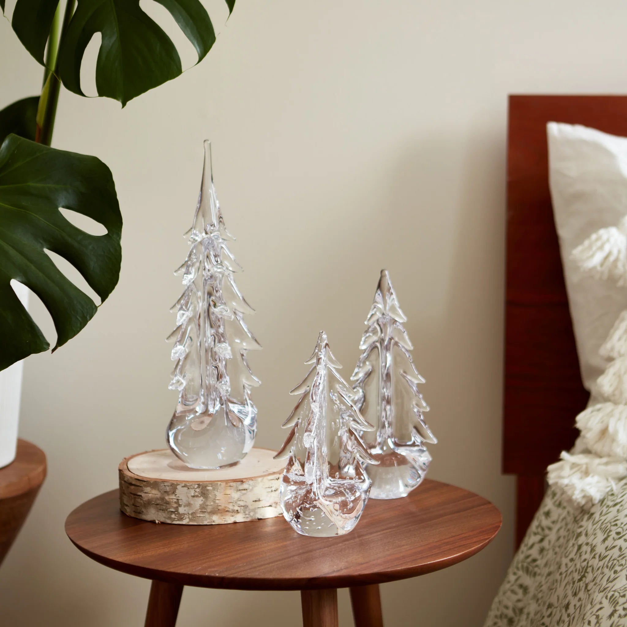 Five Sided Evergreen