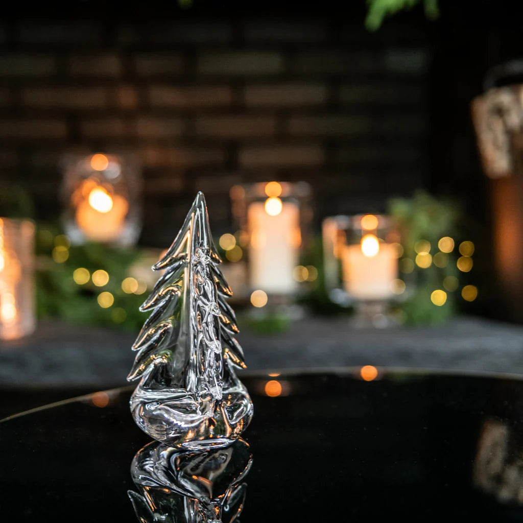 Vermont Evergreen - 4 Inch